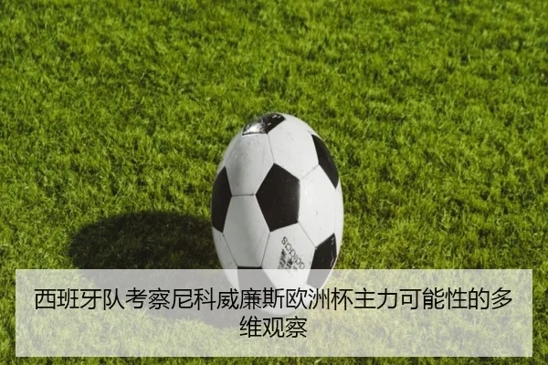 西班牙队考察尼科威廉斯欧洲杯主力可能性的多维观察