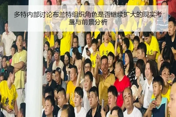 多特内部讨论布兰特组织角色是否继续扩大的现实考量与前景分析